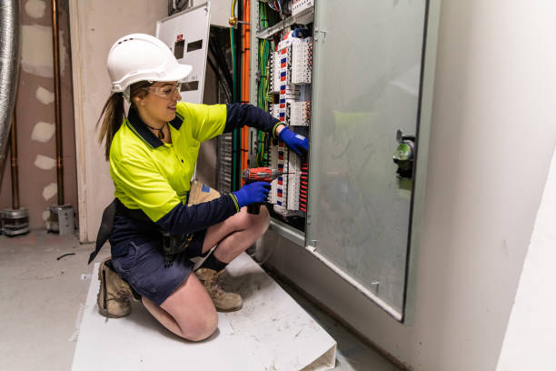 Best Generator Installation Services  in Palmyra, WI