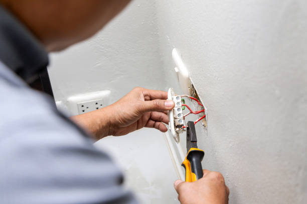 Best Ceiling Fan Installation Electrician  in Palmyra, WI