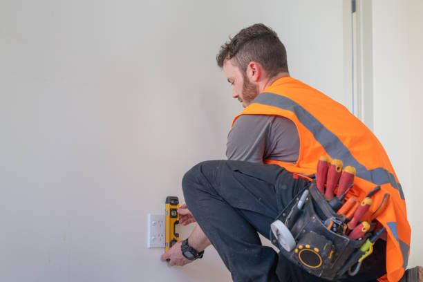 Best Electrical Upgrades for Homes  in Palmyra, WI
