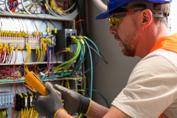 Best Electrical System Inspection  in Palmyra, WI