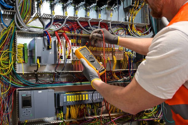 Best 24-Hour Electrician  in Palmyra, WI
