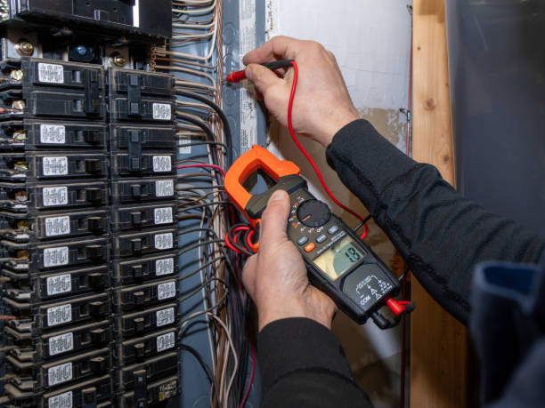 Best Licensed Electrician  in Palmyra, WI