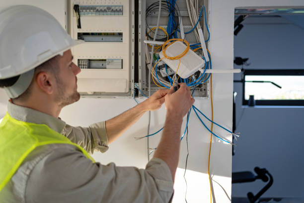 Best Electrical Rewiring Services  in Palmyra, WI